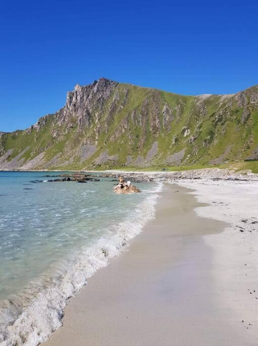 Fjosen - Bleik Beach Leilighet Eksteriør bilde
